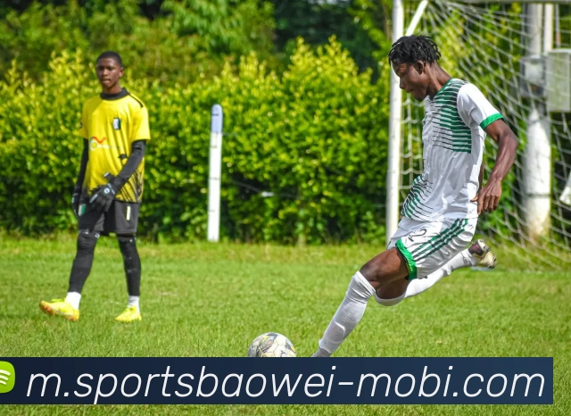 宝威体育服务体系